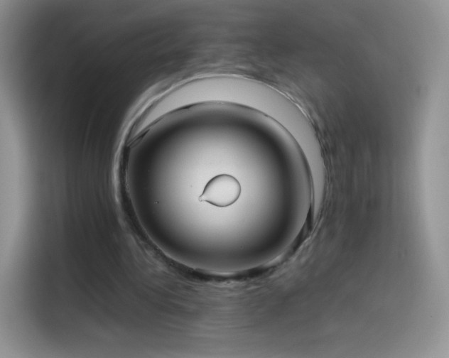 X0000114090340200910131301