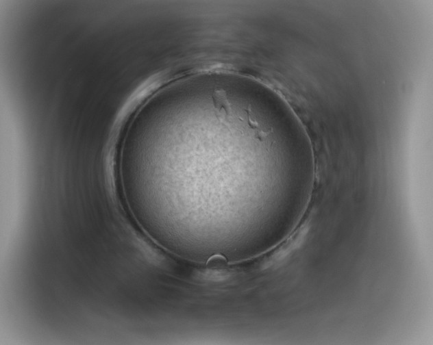 X0000114090341200910131301