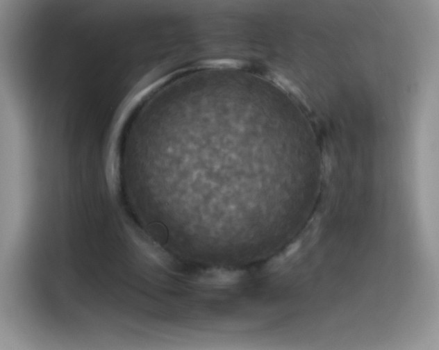 X0000114090343200910131301