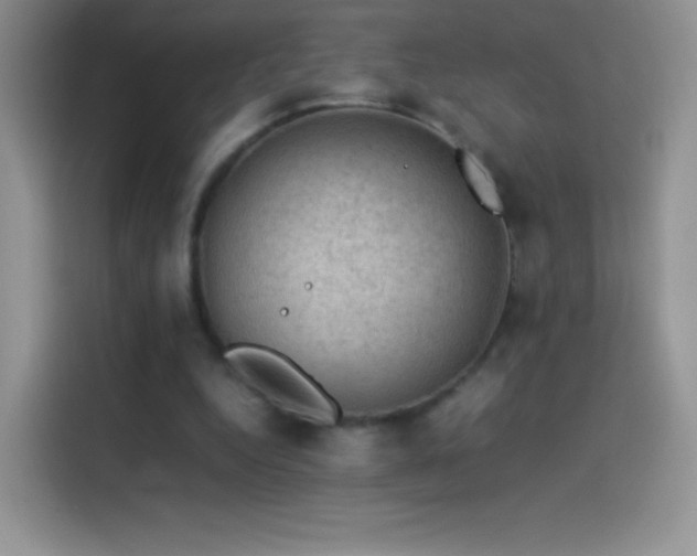 X0000114090344200910131301