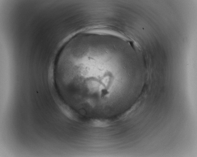 X0000114090346200910131301