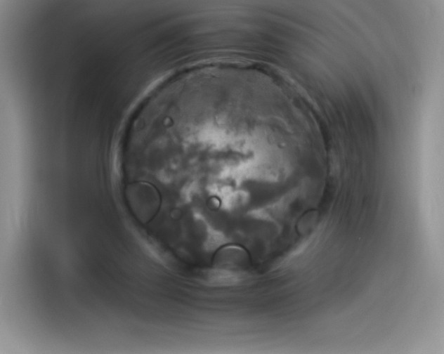 X0000114090347200910131301