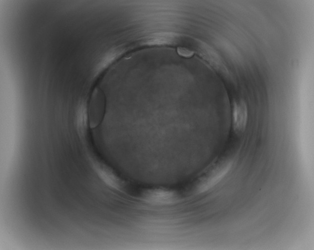 X0000114090348200910131301