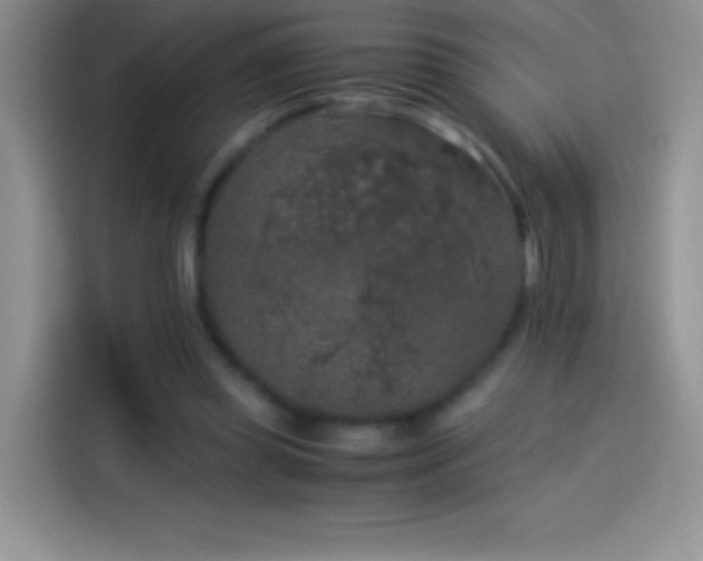 X0000114090349200910131301