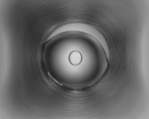 X0000114090352200910131301