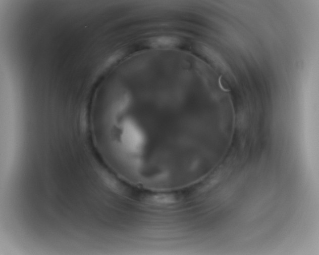 X0000114090353200910131301