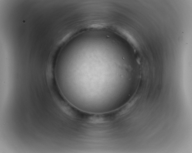 X0000114090354200910131301