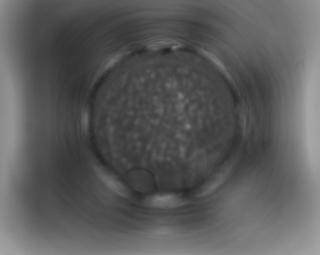X0000114090357200910131301