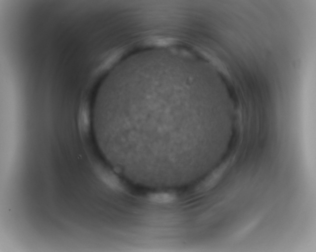 X0000114090358200910131301