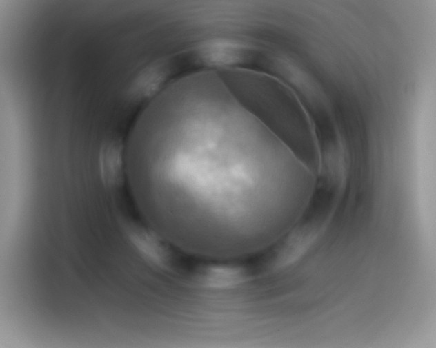 X0000114090360200910131301