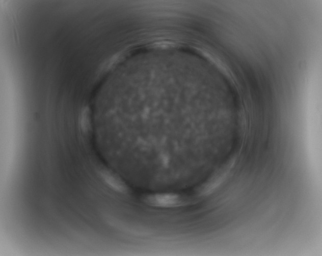 X0000114090361200910131301