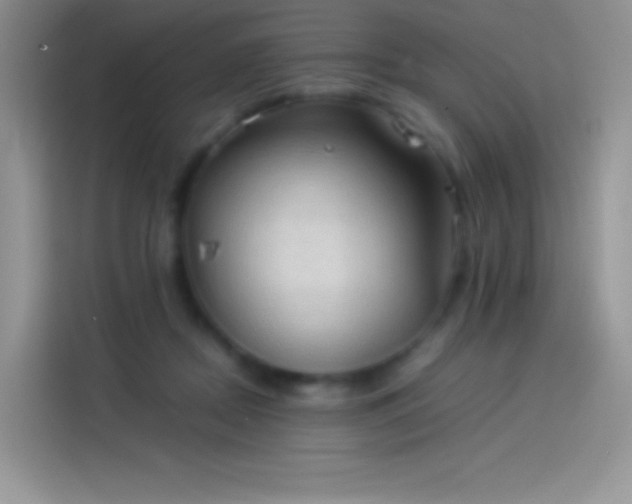X0000114090362200910131301