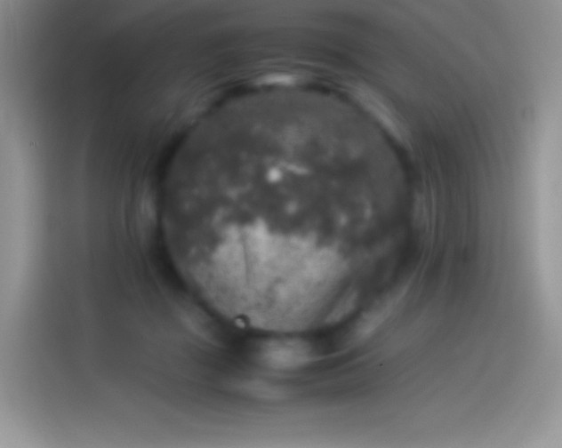 X0000114090363200910131301