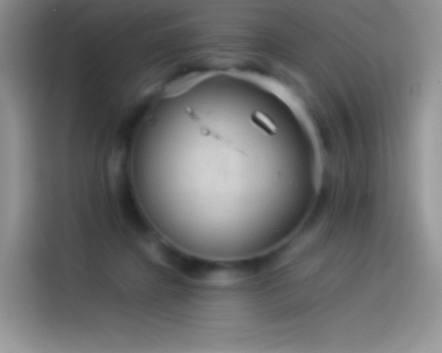 X0000114090364200910131301
