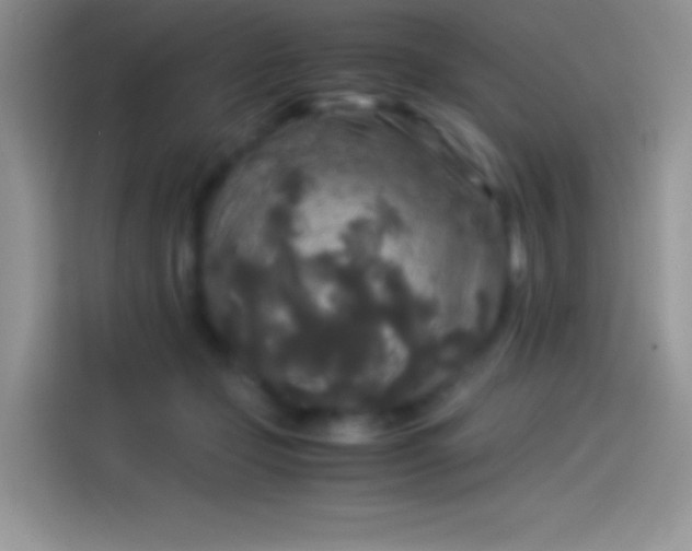 X0000114090365200910131301