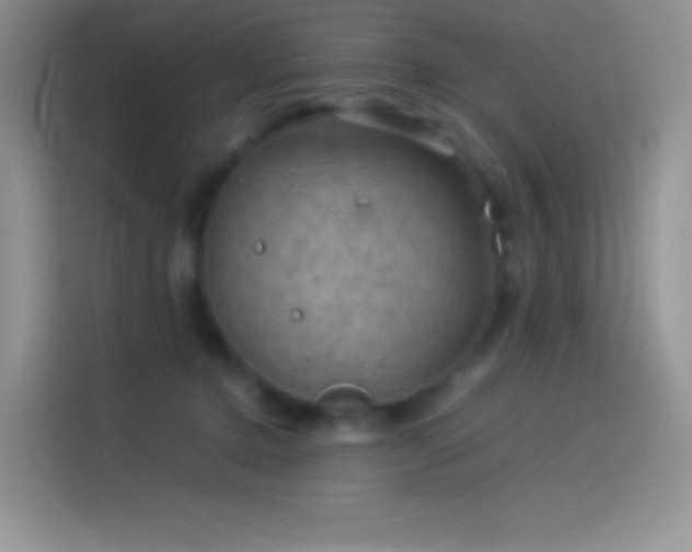 X0000114090368200910131301