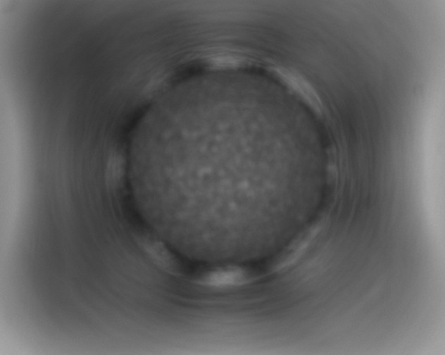 X0000114090369200910131301