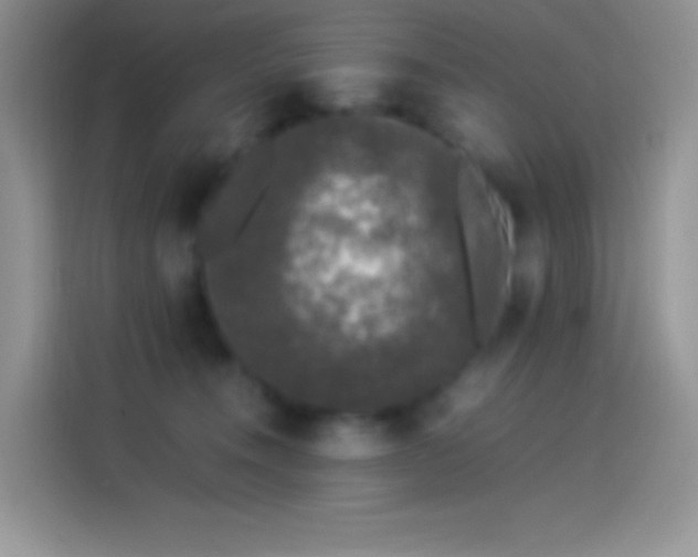 X0000114090372200910131301