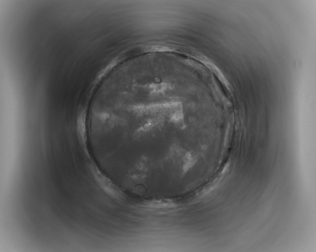 X0000114090386200910131301
