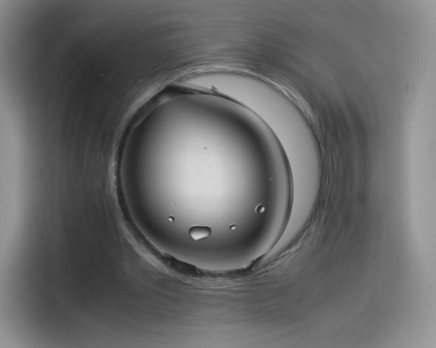 X0000114090389200910131301