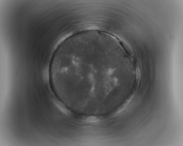 X0000114090390200910131301