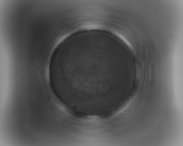 X0000114090391200910131301