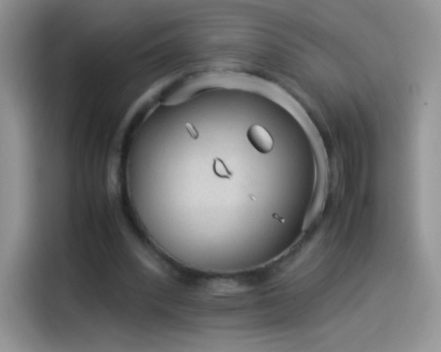 X0000114090392200910131301