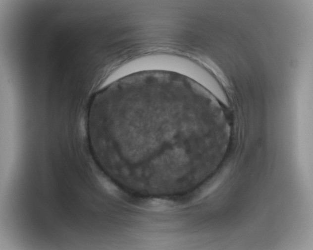 X0000114090393200910131301