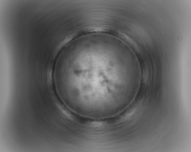 X0000114090394200910131301