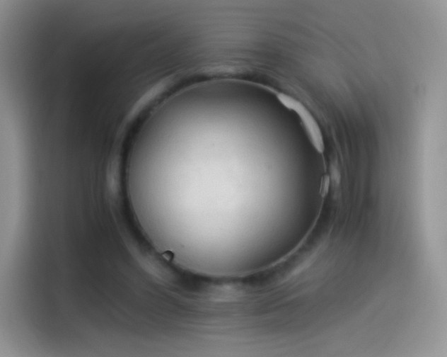 X0000114090396200910131301