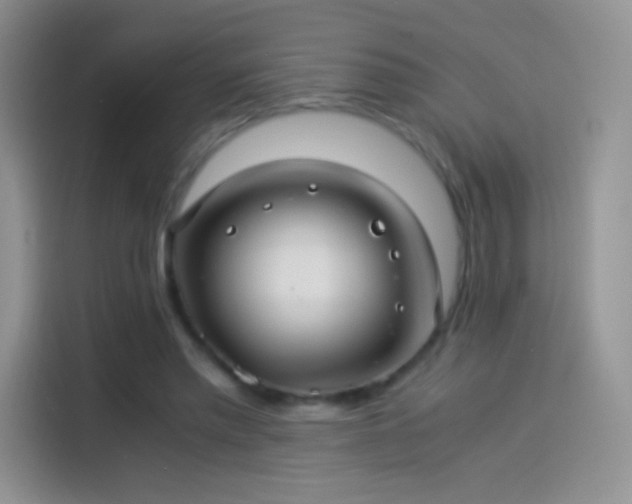 X0000114090397200910131301