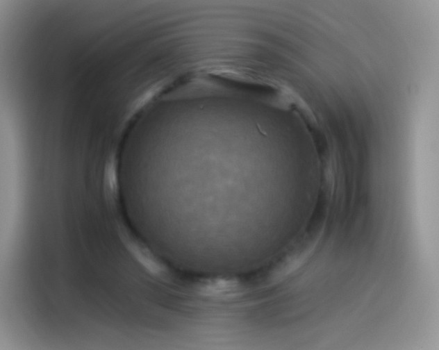 X0000114090398200910131301