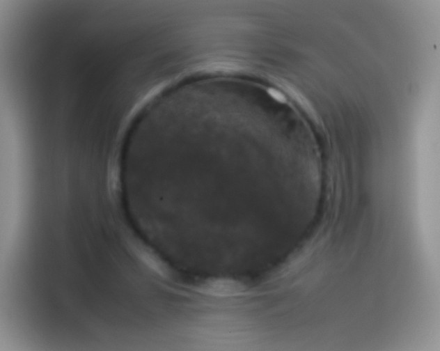 X0000114090399200910131301