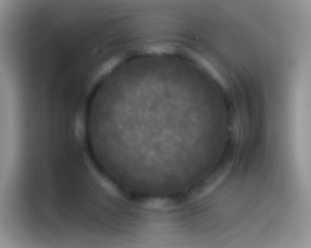 X0000114090402200910131300