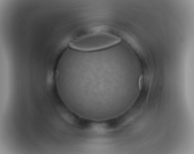 X0000114090403200910131300
