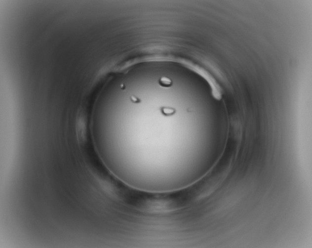 X0000114090404200910131300