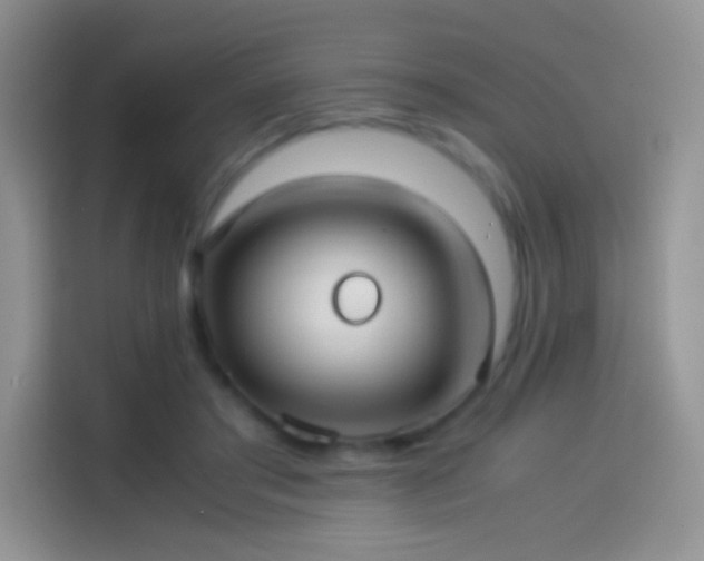 X0000114090405200910131300