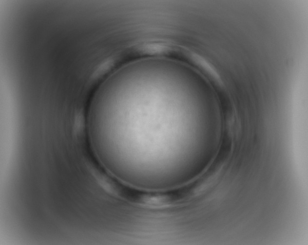 X0000114090407200910131300