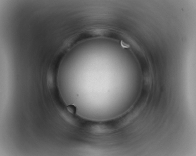 X0000114090408200910131300