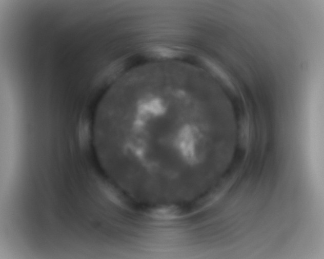 X0000114090410200910131300