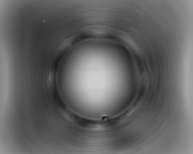 X0000114090412200910131300