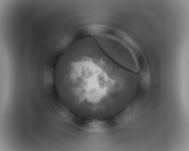 X0000114090413200910131300