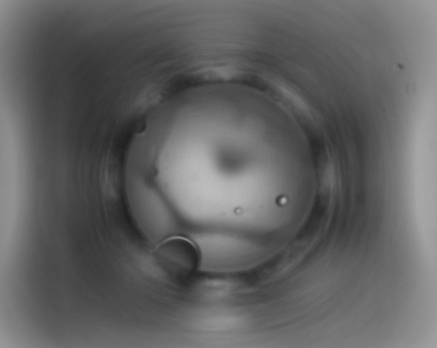 X0000114090414200910131300
