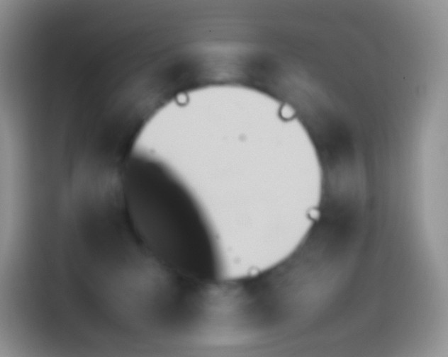 X0000114090415200910131300