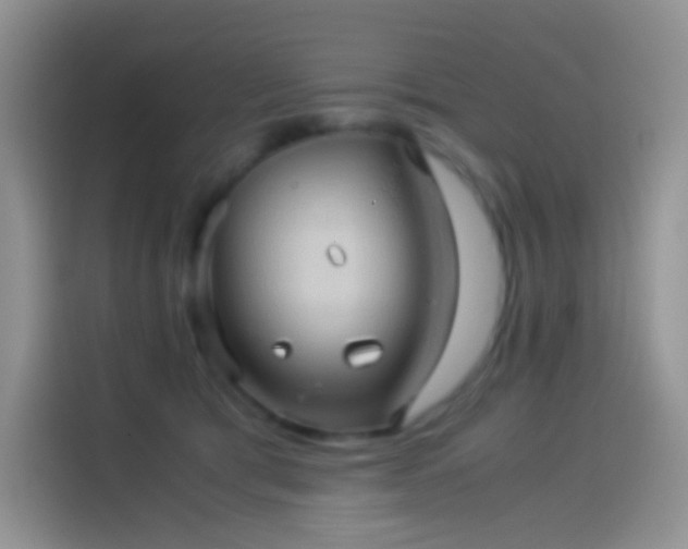 X0000114090417200910131300