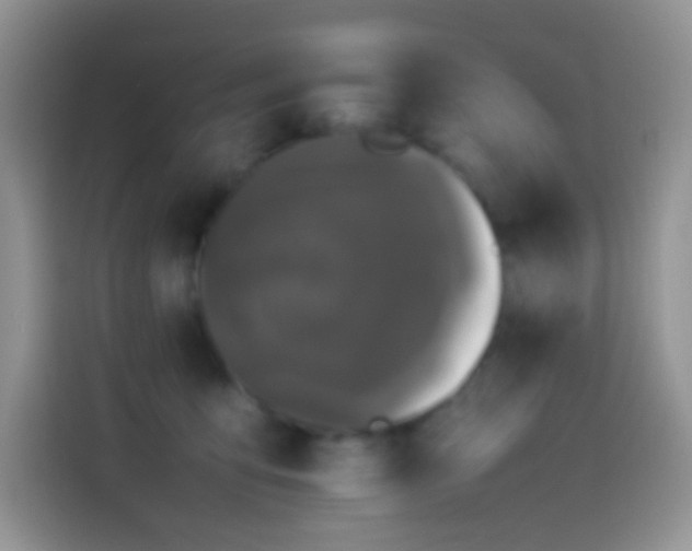 X0000114090419200910131300