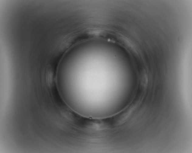 X0000114090420200910131300
