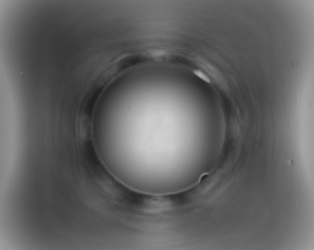X0000114090421200910131300