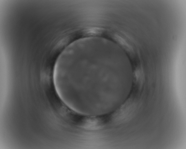 X0000114090423200910131300