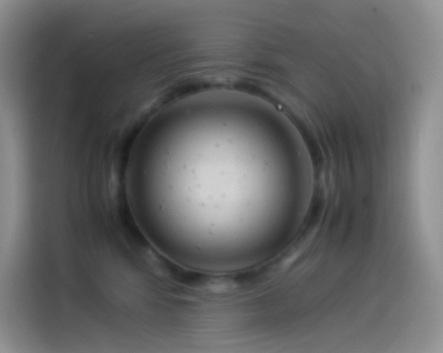 X0000114090424200910131300